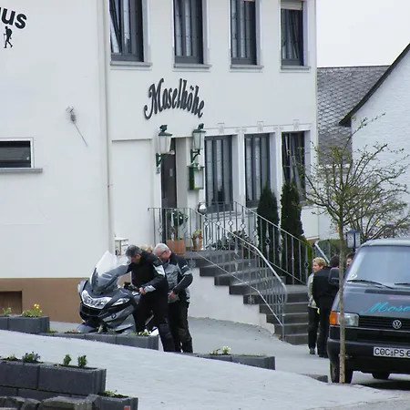 莫赛尔洛格酒店 Liesenich